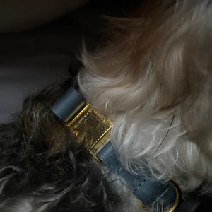 Pamela added a photo of their purchase