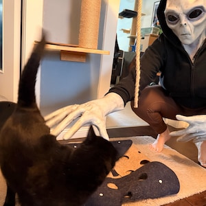 Franzy heeft een foto van de aankoop toegevoegd