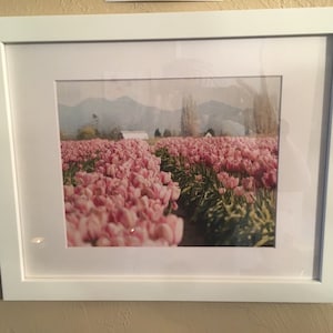 Greer added a photo of their purchase