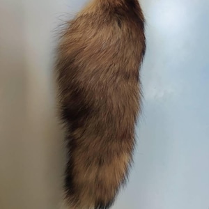Inari added a photo of their purchase