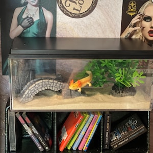 Heather added a photo of their purchase