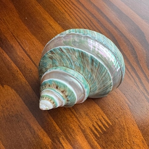 Cordelia added a photo of their purchase