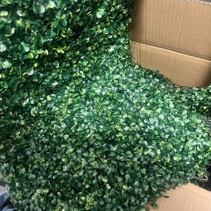 US Seller! The Densest Boxwood Panel on the Market Green Decor Wall Party Decor Event Green Hedge Wall Greenery Grass Wall Photo Backdrop