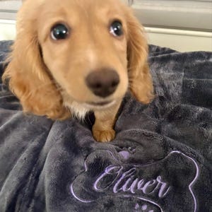 Mary hat ein Foto des gekauften Artikels hinzugefügt