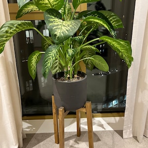 Kinga added a photo of their purchase