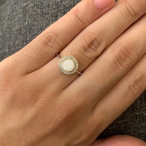 Lorenza added a photo of their purchase