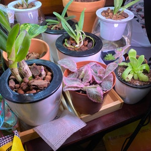 Rebecca added a photo of their purchase