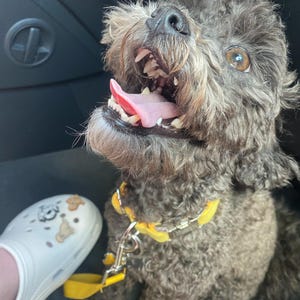 Rocky ha aggiunto una foto del proprio acquisto