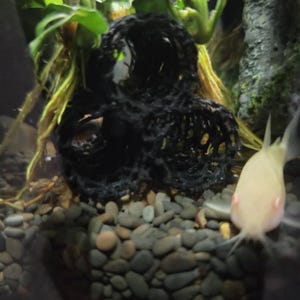 Tony ha añadido una foto de su compra