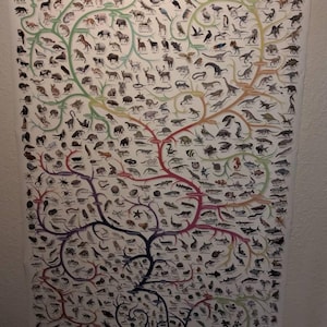 Matt added a photo of their purchase