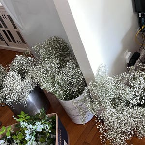 Stephanie ha añadido una foto de su compra