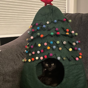 Kaitlyn added a photo of their purchase