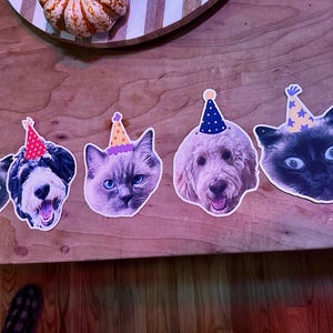 Freja added a photo of their purchase