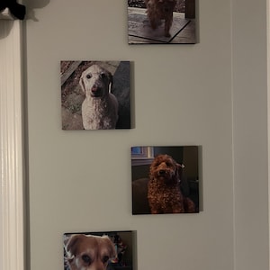 Katie added a photo of their purchase