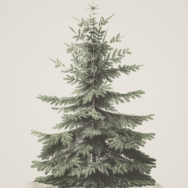 Christmas Winter Print Set | Rustic Snowy Gallery Wall | 10 Prints ...