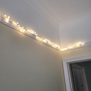 Petite added a photo of their purchase