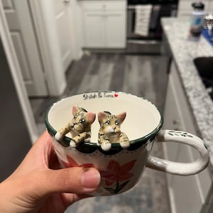 Joseph added a photo of their purchase