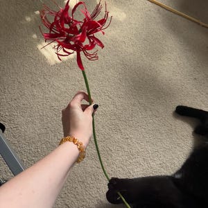 Miller added a photo of their purchase