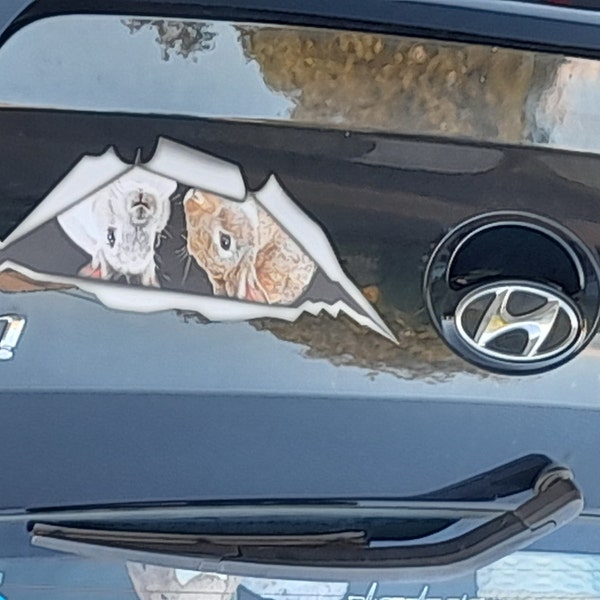 Rabbits Sticker, Bunny Car Decal, Vinyl Decal, Car Decoration, Pet ...