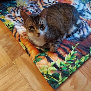 Dana added a photo of their purchase