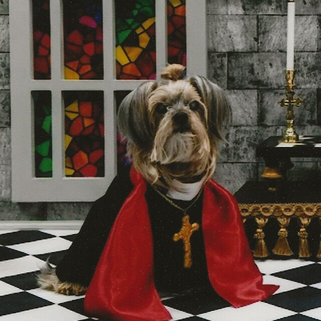 Nun costume for dogs cheap