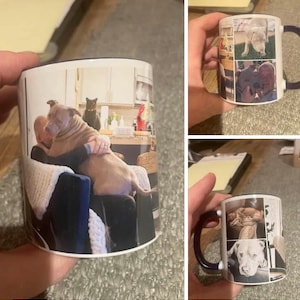 Monica added a photo of their purchase