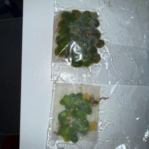 Samantha heeft een foto van zijn/haar aankoop toegevoegd