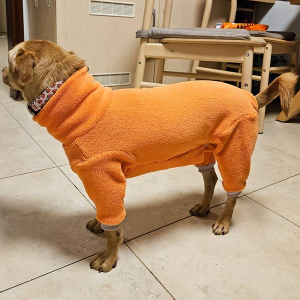 Dog Heat Pant PDF Sewing Pattern Multiple Sizes 2060cm/723inches With Written and Video
