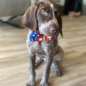 patriotic dog bow tie