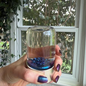 Laura added a photo of their purchase