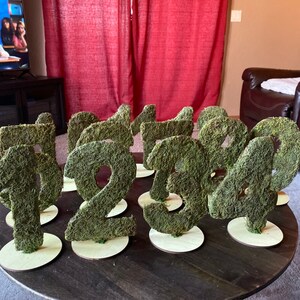 Molly added a photo of their purchase