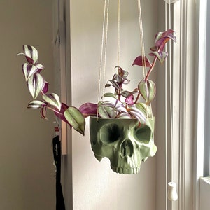 Hanging Skull Planter Small Hanging Pot Halloween Decor - Etsy