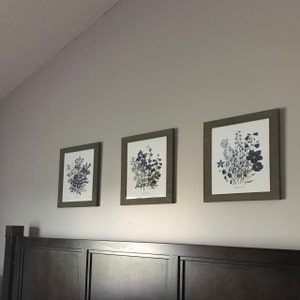 Botanical Print Set Redoute Botanical Prints Art Prints | Etsy