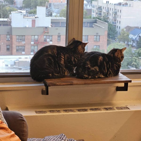 Windowsill Shelf Extender | Clever Cat Bed: - No Screws, Easy Mounting ...