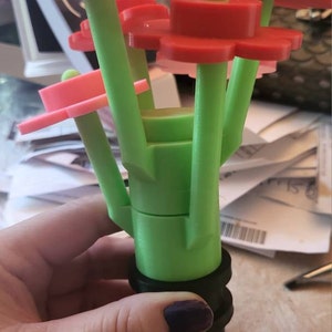 Patricia added a photo of their purchase