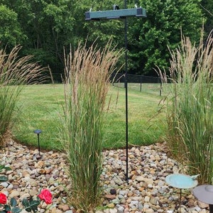 Sunny added a photo of their purchase