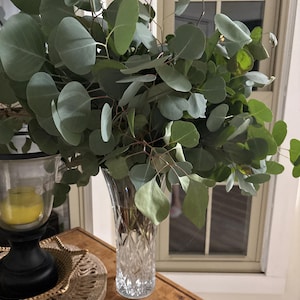 Denise added a photo of their purchase