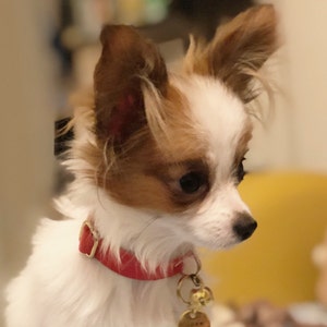 Windy added a photo of their purchase