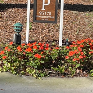 Montina added a photo of their purchase