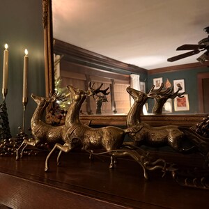 Andrea added a photo of their purchase