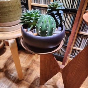 Olga added a photo of their purchase