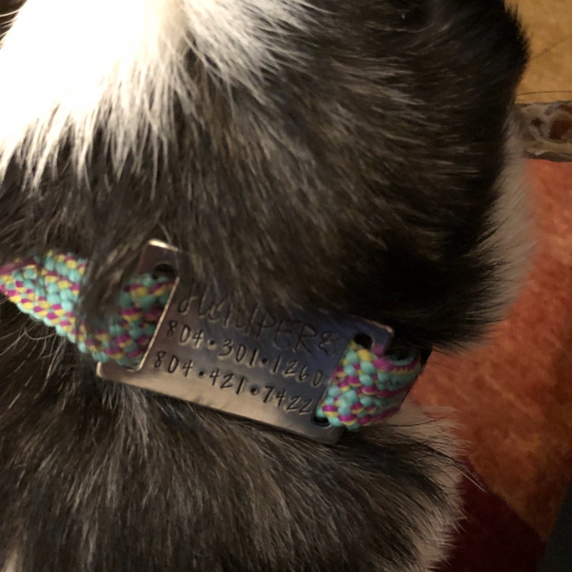 Personalized Silent Dog Tag Quiet Pet ID Tag Slide On Etsy