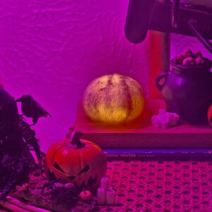 Sofie ha añadido una foto de su compra