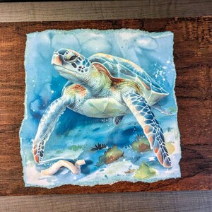 11 ウミガメのクリップアート | 水彩画のカメ | 印刷可能な水彩画の