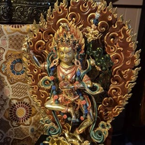 netra added a photo of their purchase