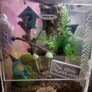 Beth added a photo of their purchase