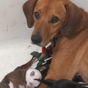 Harold Whitney added a photo of their purchase