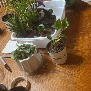 Jo ha aggiunto una foto del proprio acquisto