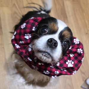 lyn added a photo of their purchase