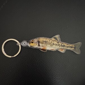 Cody ha aggiunto una foto del proprio acquisto